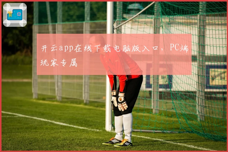 开云app在线下载电脑版入口,PC端玩家专属