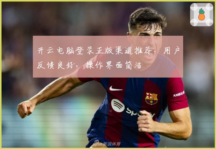 开云电脑登录正版渠道推荐，用户反馈良好，操作界面简洁