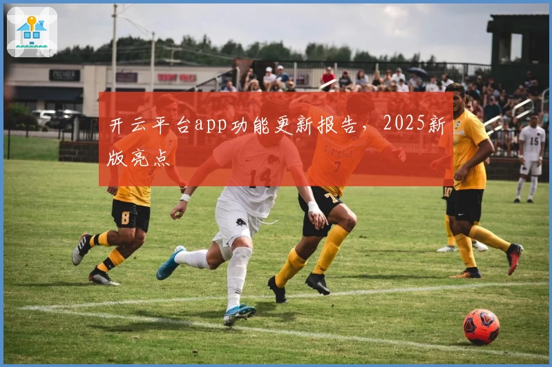 开云平台app功能更新报告,2025新版亮点